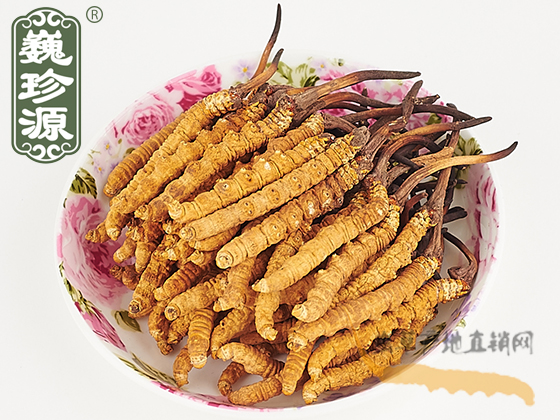 特大规格那曲冬虫夏草1.8条/克,很大的西藏那曲虫草,900条/斤那曲大虫草