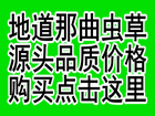虫草产地直销网所售各款新鲜冬虫夏草和那曲冬虫夏草价格,本站提供干虫草批发和新鲜虫草批发,大量购买享受冬虫夏草批发价格